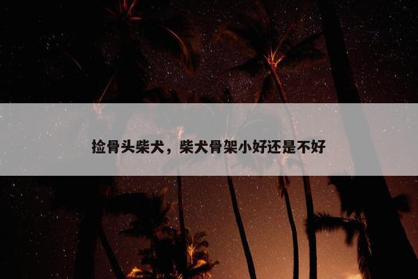 捡骨头柴犬，柴犬骨架小好还是不好