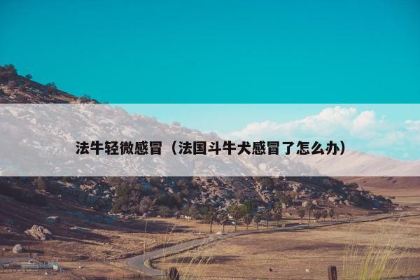 法牛轻微感冒（法国斗牛犬感冒了怎么办）