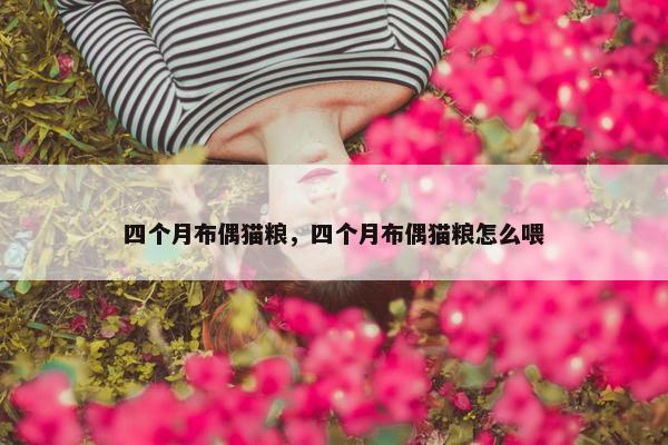 四个月布偶猫粮，四个月布偶猫粮怎么喂