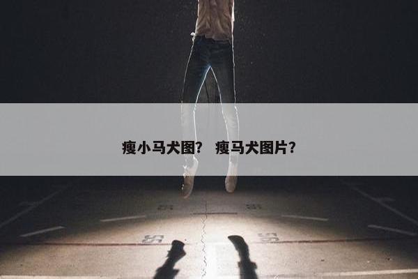 瘦小马犬图？ 瘦马犬图片？