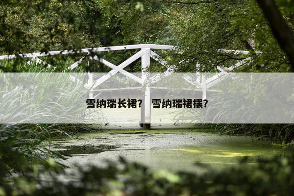 雪纳瑞长裙？ 雪纳瑞裙摆？