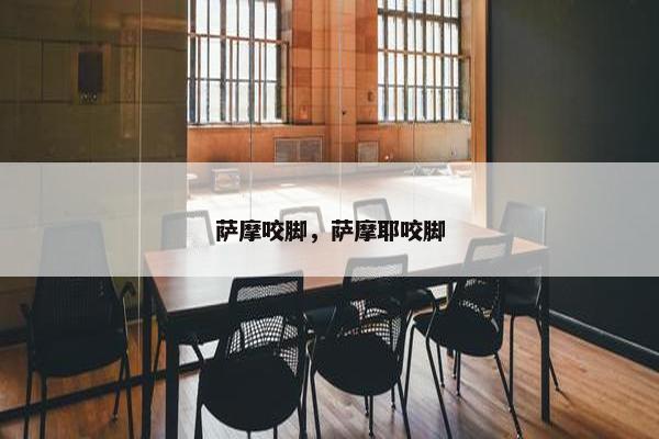 萨摩咬脚，萨摩耶咬脚