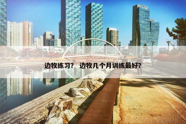 边牧练习？ 边牧几个月训练最好？