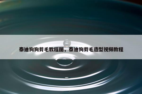 泰迪狗狗剪毛教程图，泰迪狗剪毛造型视频教程