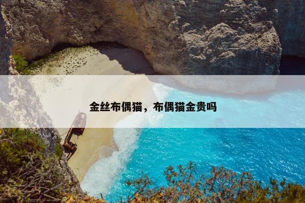 金丝布偶猫，布偶猫金贵吗