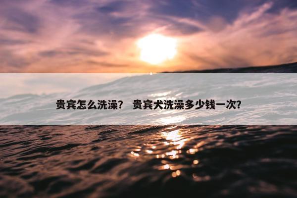 贵宾怎么洗澡？ 贵宾犬洗澡多少钱一次？