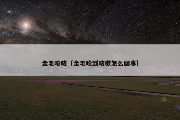 金毛呛咳（金毛呛到咳嗽怎么回事）