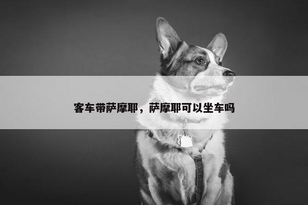 客车带萨摩耶，萨摩耶可以坐车吗