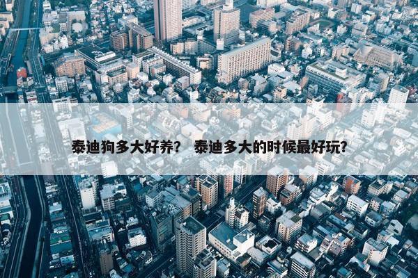 泰迪狗多大好养？ 泰迪多大的时候最好玩？