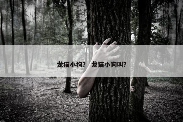 龙猫小狗？ 龙猫小狗叫？
