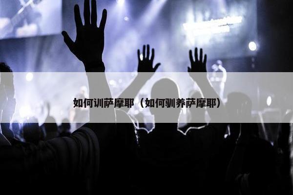 如何训萨摩耶（如何驯养萨摩耶）