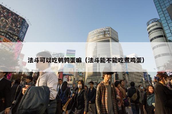 法斗可以吃鹌鹑蛋嘛（法斗能不能吃煮鸡蛋）