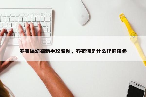 养布偶幼猫新手攻略图，养布偶是什么样的体验