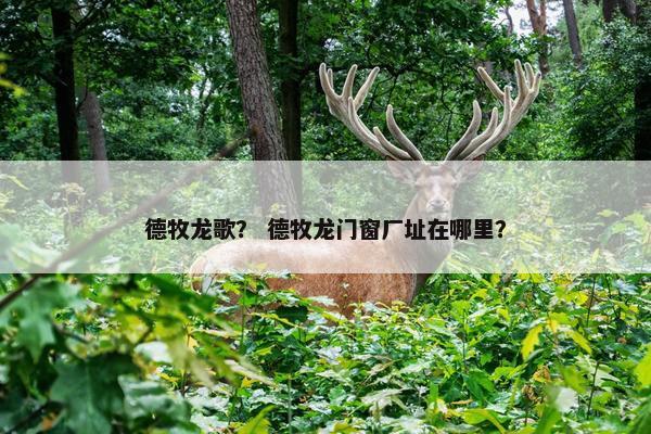 德牧龙歌？ 德牧龙门窗厂址在哪里？
