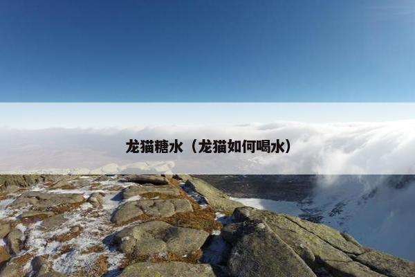 龙猫糖水（龙猫如何喝水）