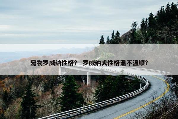 宠物罗威纳性格？ 罗威纳犬性格温不温顺？