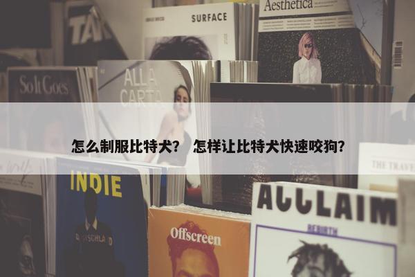 怎么制服比特犬？ 怎样让比特犬快速咬狗？