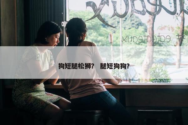 狗短腿松狮？ 腿短狗狗？