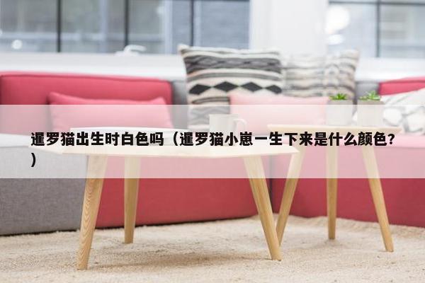 暹罗猫出生时白色吗（暹罗猫小崽一生下来是什么颜色?）