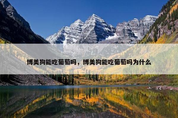 博美狗能吃葡萄吗，博美狗能吃葡萄吗为什么