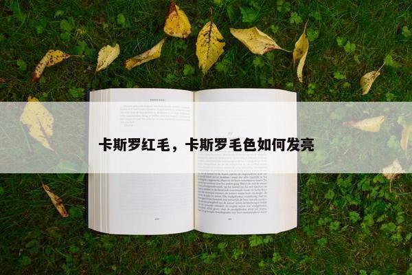卡斯罗红毛，卡斯罗毛色如何发亮