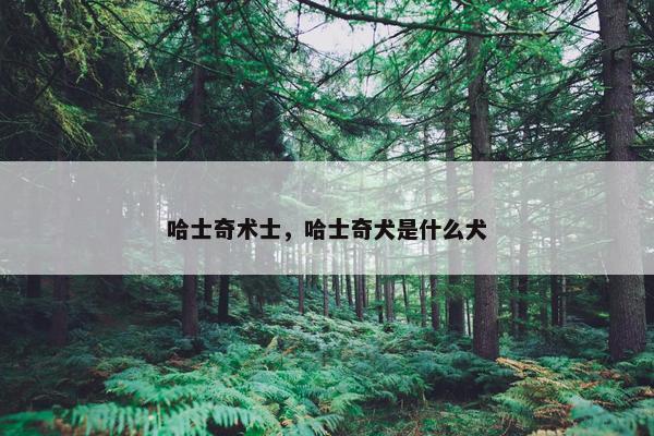 哈士奇术士，哈士奇犬是什么犬