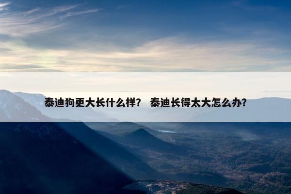 泰迪狗更大长什么样？ 泰迪长得太大怎么办？
