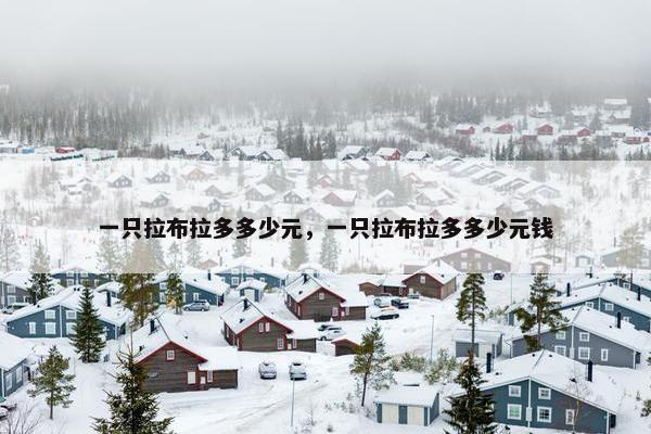 一只拉布拉多多少元，一只拉布拉多多少元钱