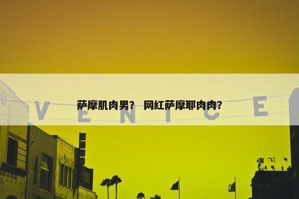 萨摩肌肉男？ 网红萨摩耶肉肉？