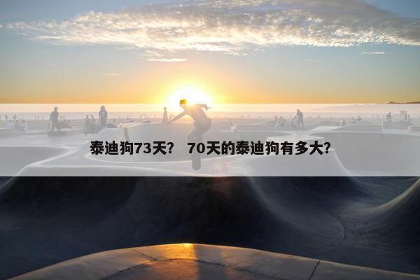 泰迪狗73天？ 70天的泰迪狗有多大？