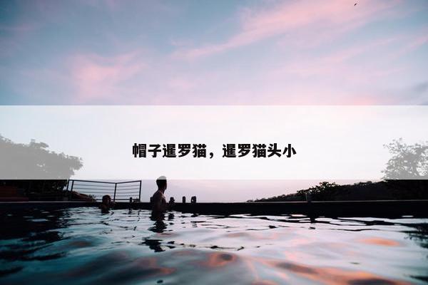 帽子暹罗猫，暹罗猫头小