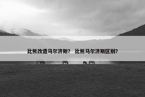 比熊改造马尔济斯？ 比熊马尔济斯区别？