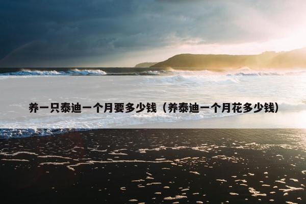 养一只泰迪一个月要多少钱（养泰迪一个月花多少钱）
