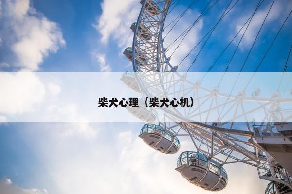柴犬心理（柴犬心机）
