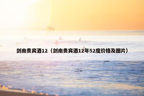 剑南贵宾酒12（剑南贵宾酒12年52度价格及图片）