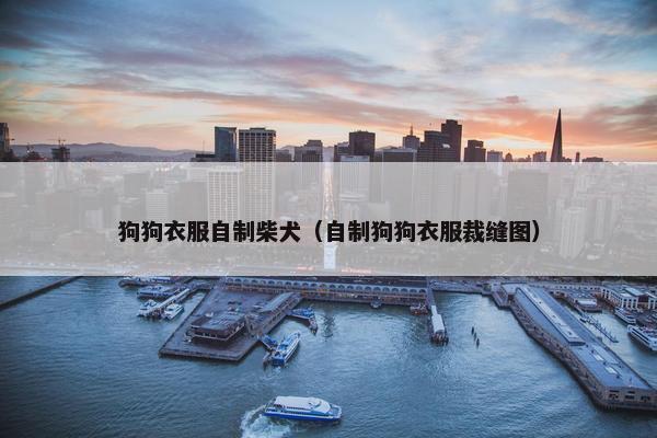 狗狗衣服自制柴犬（自制狗狗衣服裁缝图）
