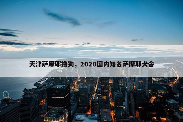 天津萨摩耶撸狗，2020国内知名萨摩耶犬舍