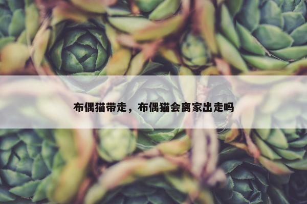 布偶猫带走，布偶猫会离家出走吗