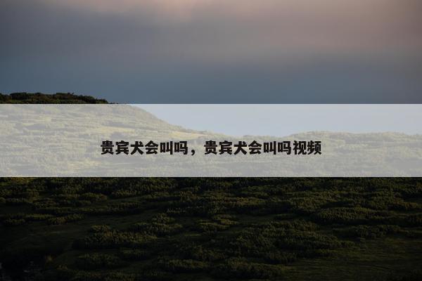 贵宾犬会叫吗，贵宾犬会叫吗视频