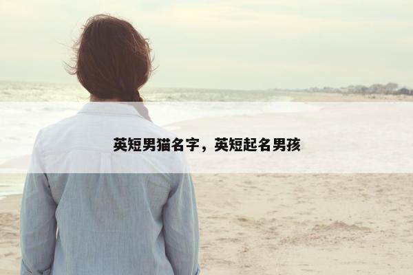 英短男猫名字，英短起名男孩