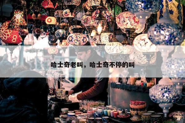 哈士奇老叫，哈士奇不停的叫