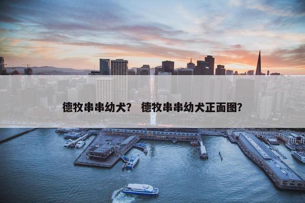 德牧串串幼犬？ 德牧串串幼犬正面图？