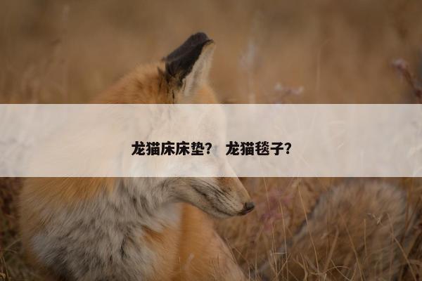 龙猫床床垫？ 龙猫毯子？