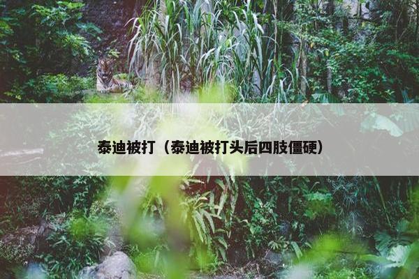 泰迪被打（泰迪被打头后四肢僵硬）
