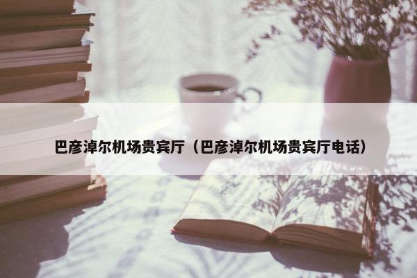巴彦淖尔机场贵宾厅（巴彦淖尔机场贵宾厅电话）
