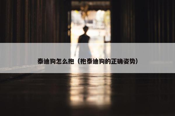 泰迪狗怎么抱（抱泰迪狗的正确姿势）