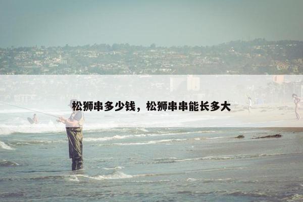 松狮串多少钱，松狮串串能长多大