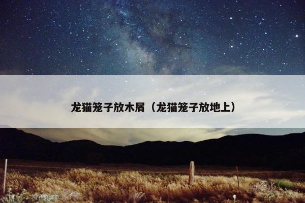 龙猫笼子放木屑（龙猫笼子放地上）