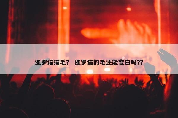 暹罗猫猫毛？ 暹罗猫的毛还能变白吗?？