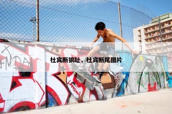 杜宾断狼趾，杜宾断尾图片
